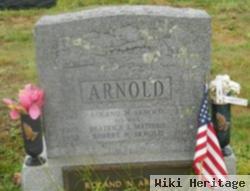 Robert N Arnold