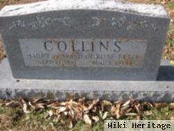 Harry Collins