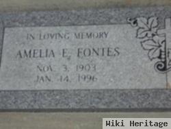 Amelia E. Fontes