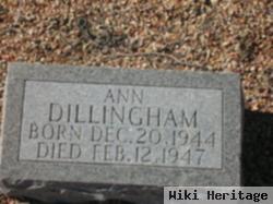 Ann Dillingham