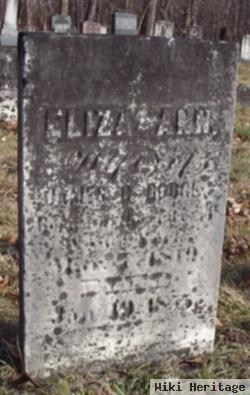 Eliza Ann Hillyer Dodge