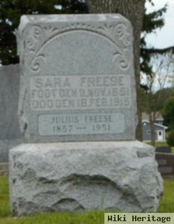 Sarah Schmit Freese