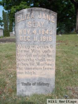 Elizabeth Jane "eliza" Burns Seay