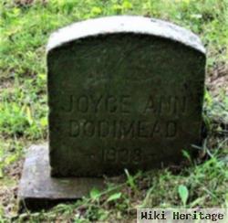 Joyce Ann Dodimead