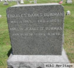 Charles Danks Bowman