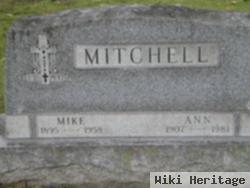 Mike S Mitchell