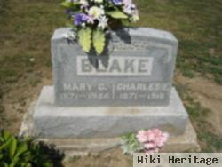 Charles Edward Blake