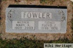 Floyd F Fowler