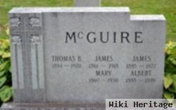 James Mcguire