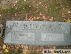 Theodore M Rhoda