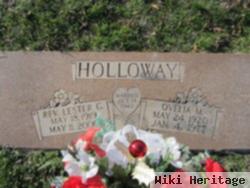 Ovelia M Holloway