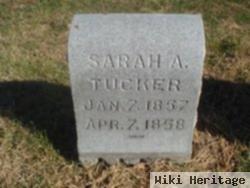 Sarah A Tucker