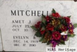 Amet J Mitchell