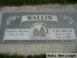 Carl Joel Wallin, Jr