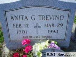 Anita G Trevino
