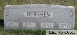 Nettie A Hershey