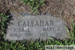 Mary P Callahan