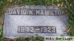 David N Hamilton