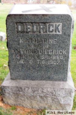 Katherine Ternes Diedrick