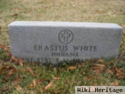 Erastus White