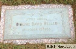 Dwayne David Heller