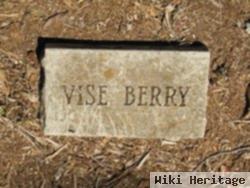 Vise Berry