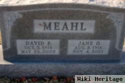 David E. Meahl