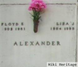 Liza J. Alexander