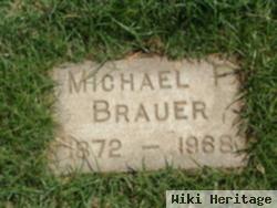 Michael F. Brauer