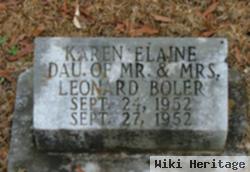 Karen Elaine Boler