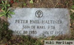 Peter Emil Haltiner