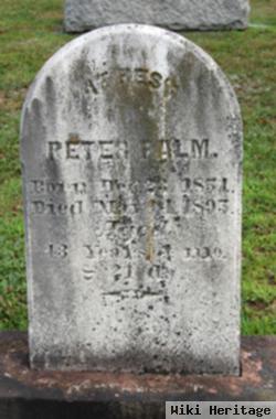 Peter Palm