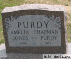 Amelia Jones Purdy