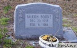 Falcon Boone