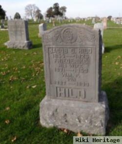 William F Hild