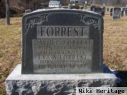 Eva Alice Hoffman Forrest