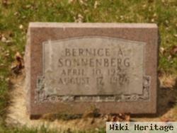 Bernice Amber Sonnenberg