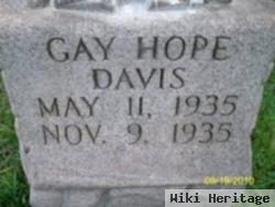 Gay Hope Davis