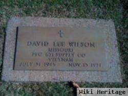 David Lee Wilson