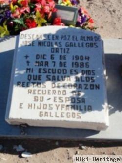 Jose Nicolas Gallegos Ortiz