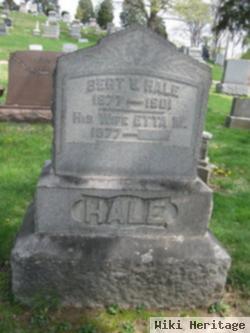 Bert V Hale