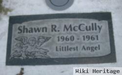 Shawn R. Mccully