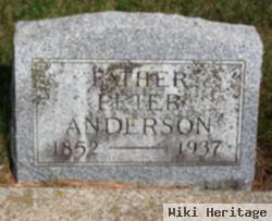 Peter A. Anderson