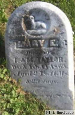 Mary E Taylor