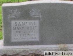 Mary Holt Santani