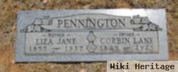 Liza Jane Prescott Pennington