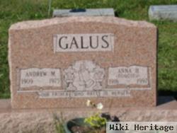 Anna H. Novotny Galus