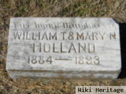 Five Infants Holland