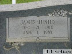 James Junius Horton
