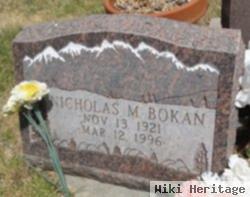 Nicholas M Bokan